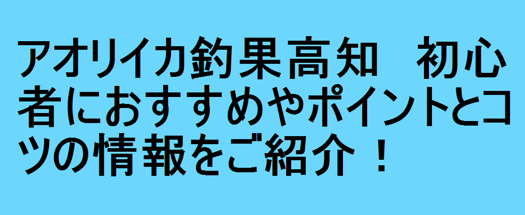 アオリイカ釣果高知 初心者におすすめやポイントとコツの情報をご紹介 釣りパ