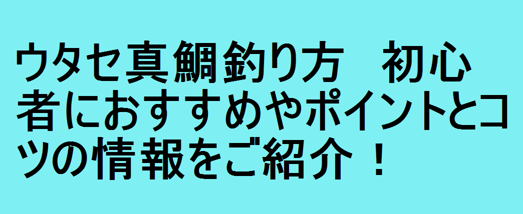 ウタセ真鯛釣り方 初心者におすすめやポイントとコツの情報をご紹介 釣りパ