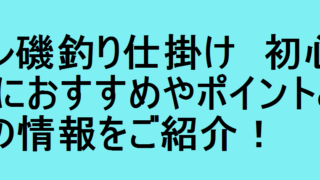 サワラ釣り仕掛け 初心者におすすめやポイントとコツの情報をご紹介 釣りパ