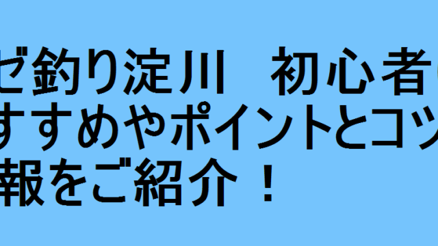 ハゼ釣り淀川 初心者におすすめやポイントとコツの情報をご紹介 釣りパ