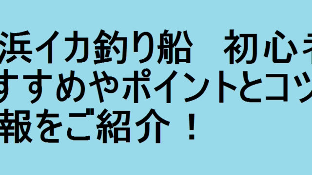 小浜イカ釣り船 初心者におすすめやポイントとコツの情報をご紹介 釣りパ