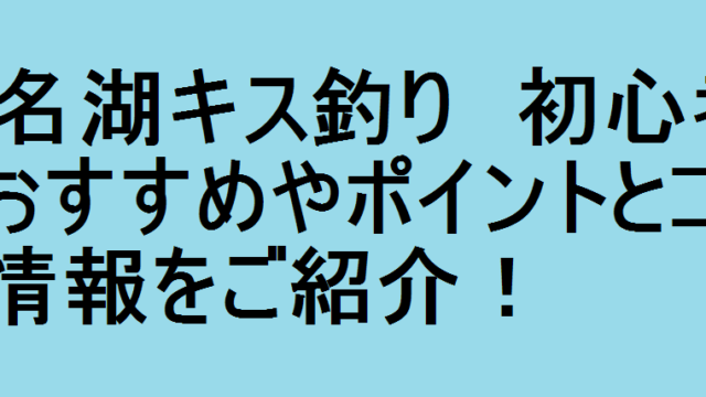 浜名湖キス釣り 初心者におすすめやポイントとコツの情報をご紹介 釣りパ