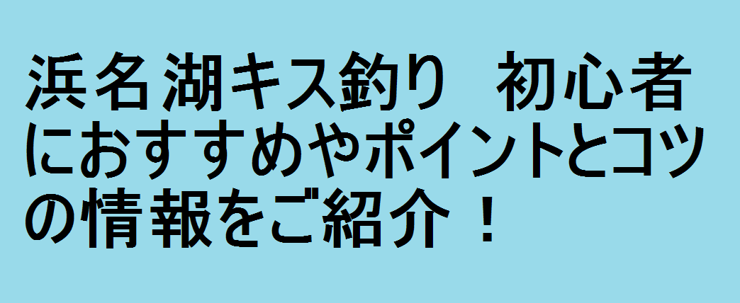 浜名湖キス釣り 初心者におすすめやポイントとコツの情報をご紹介 釣りパ