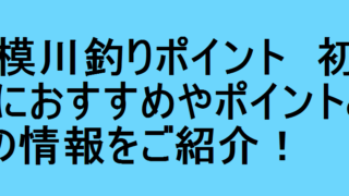 周防大島釣り情報 初心者におすすめやポイントとコツの情報をご紹介 釣りパ