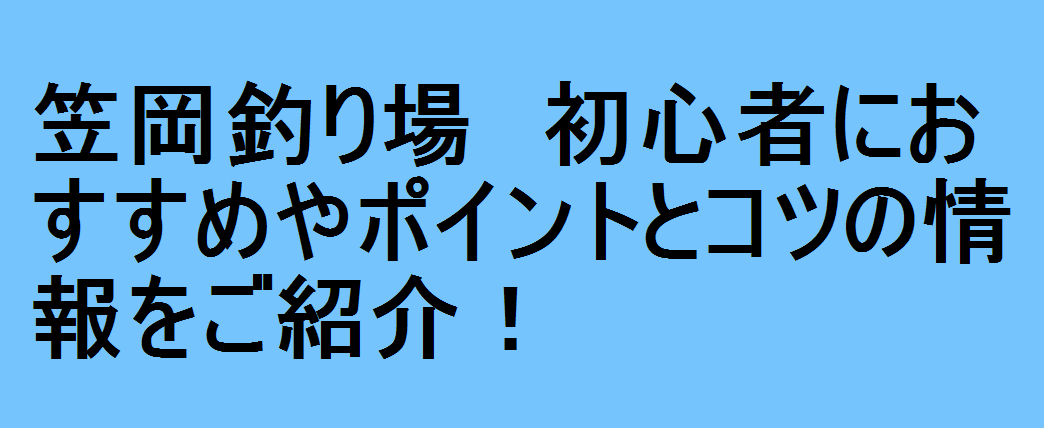 笠岡釣り場 初心者におすすめやポイントとコツの情報をご紹介 釣りパ