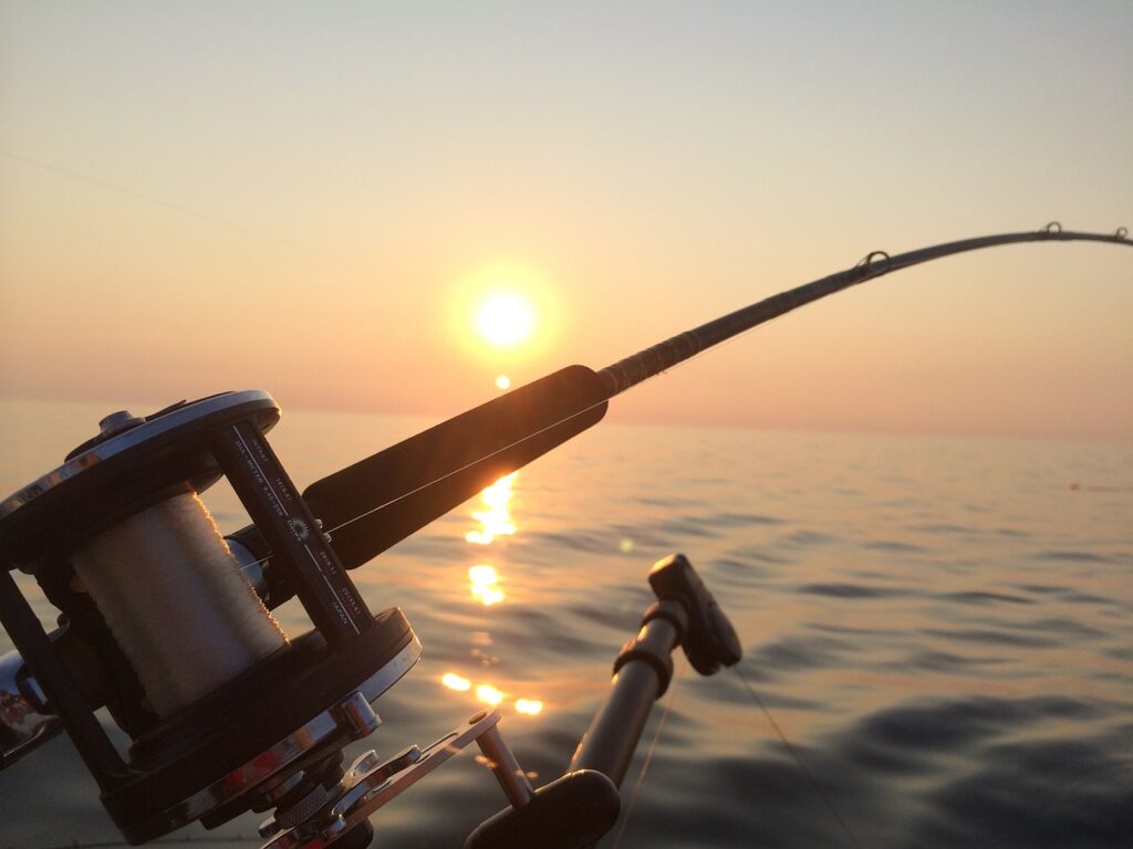 茨城の海釣り　初心者におすすめやポイントとコツの情報をご紹介！