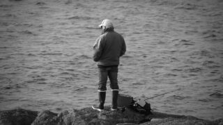 知多半島キス釣り　初心者におすすめやポイントとコツの情報をご紹介！